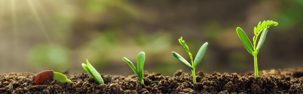 Work-in-progresso-Sostenibilita